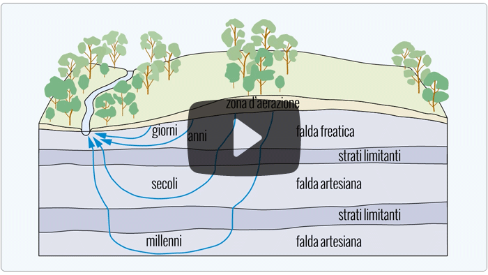 Guarda il video