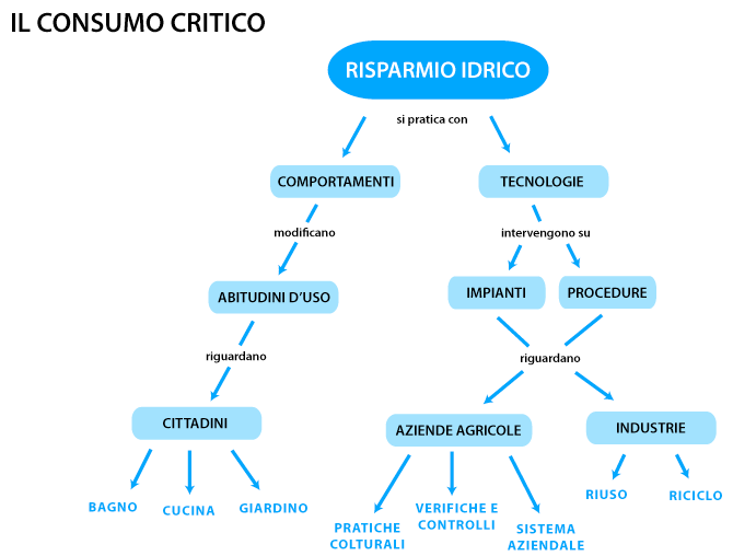 Il consumo critico