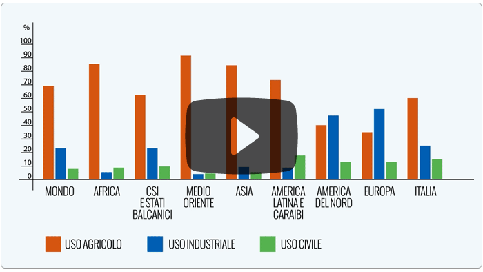 Guarda il video