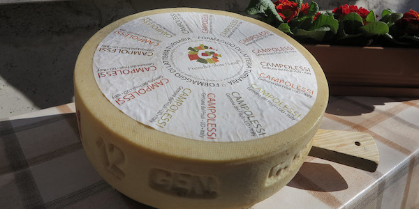 CULTURA-formaggio-campolessiWEB