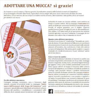 AmicaMucca