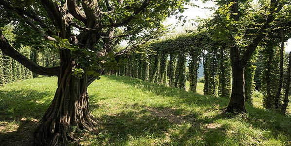 Gli "altri" giardini
