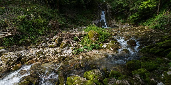 Scoprire l'Orvenco